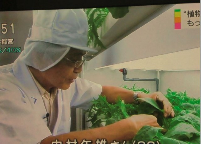 NHKニュース